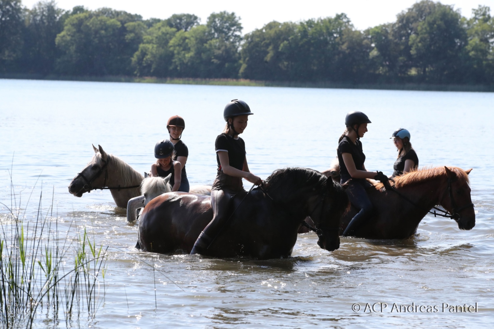 Auf dem Pferdehof Zislow ist es möglich, mit dem Pferd ins Wasser zu reiten. TMV / ACP Pantel