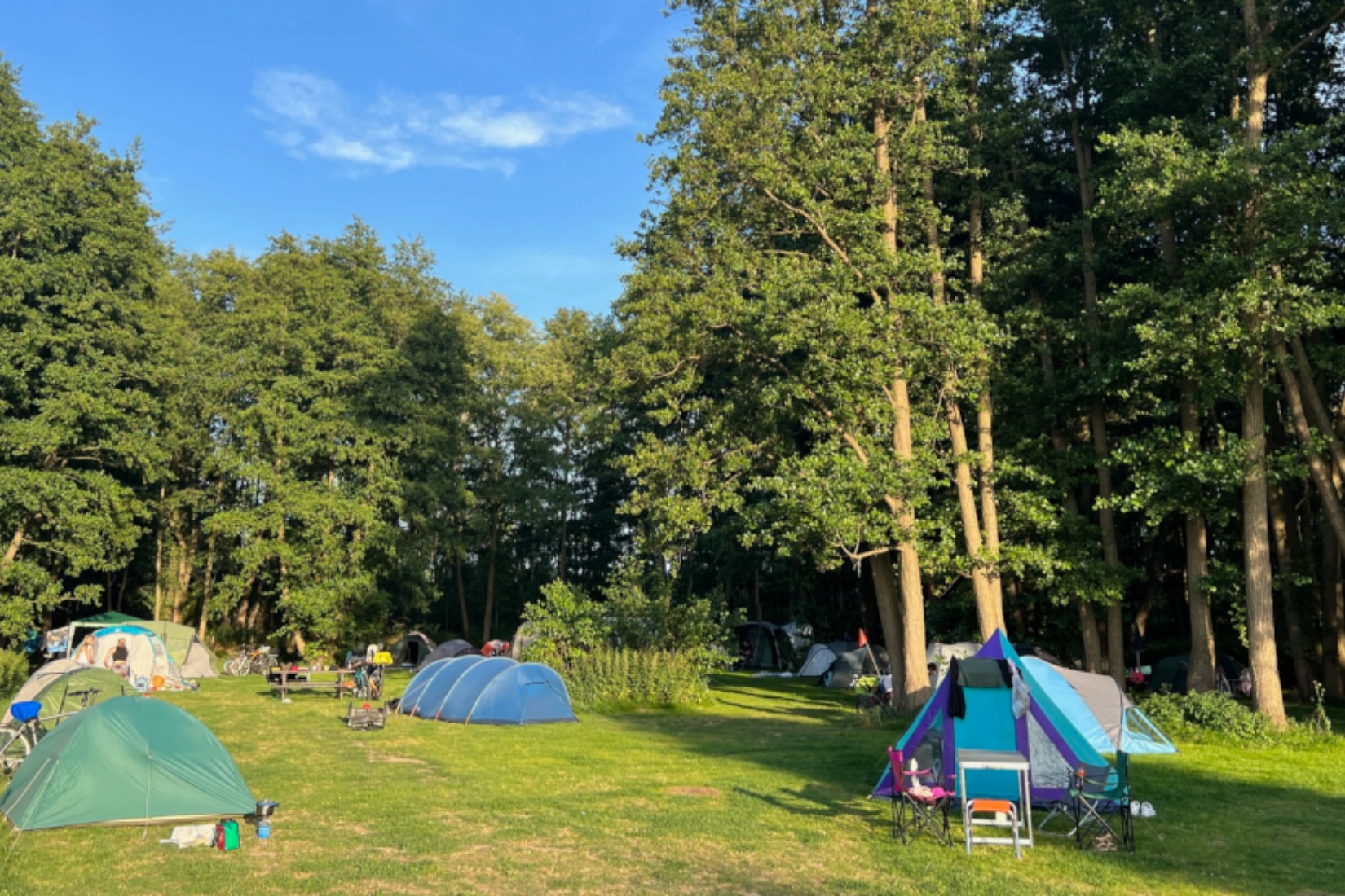 Zelten am Wald © © Campingplatz Ostseequelle