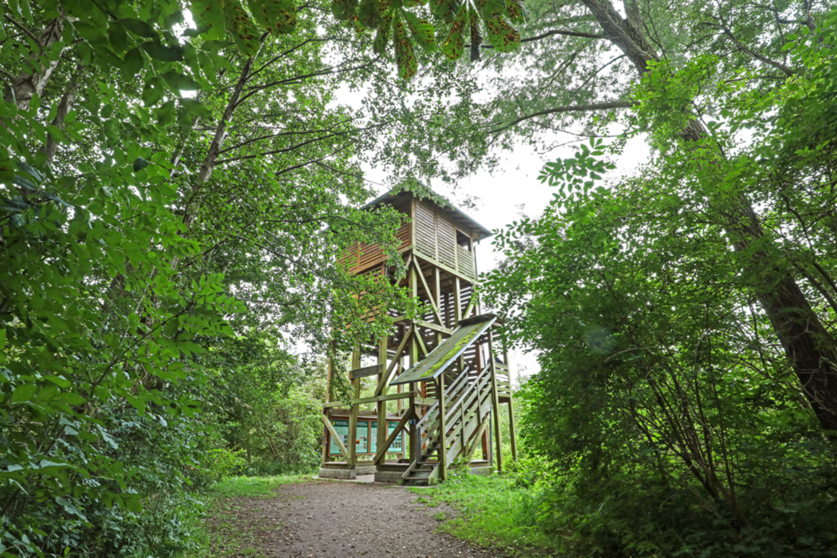 Aussichtsturm Moorochse