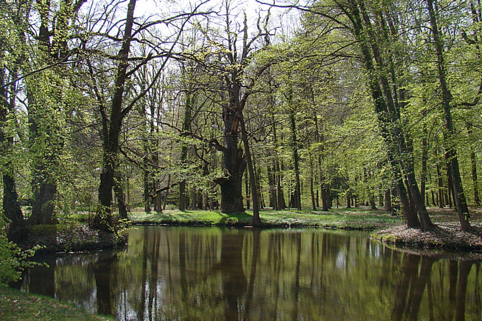  Tourismusverband Mecklenburg-Schwerin