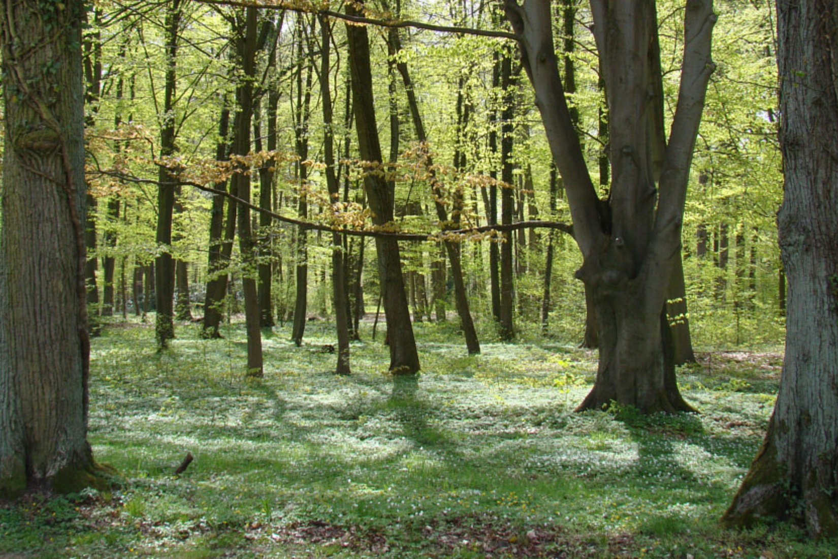  Tourismusverband Mecklenburg-Schwerin