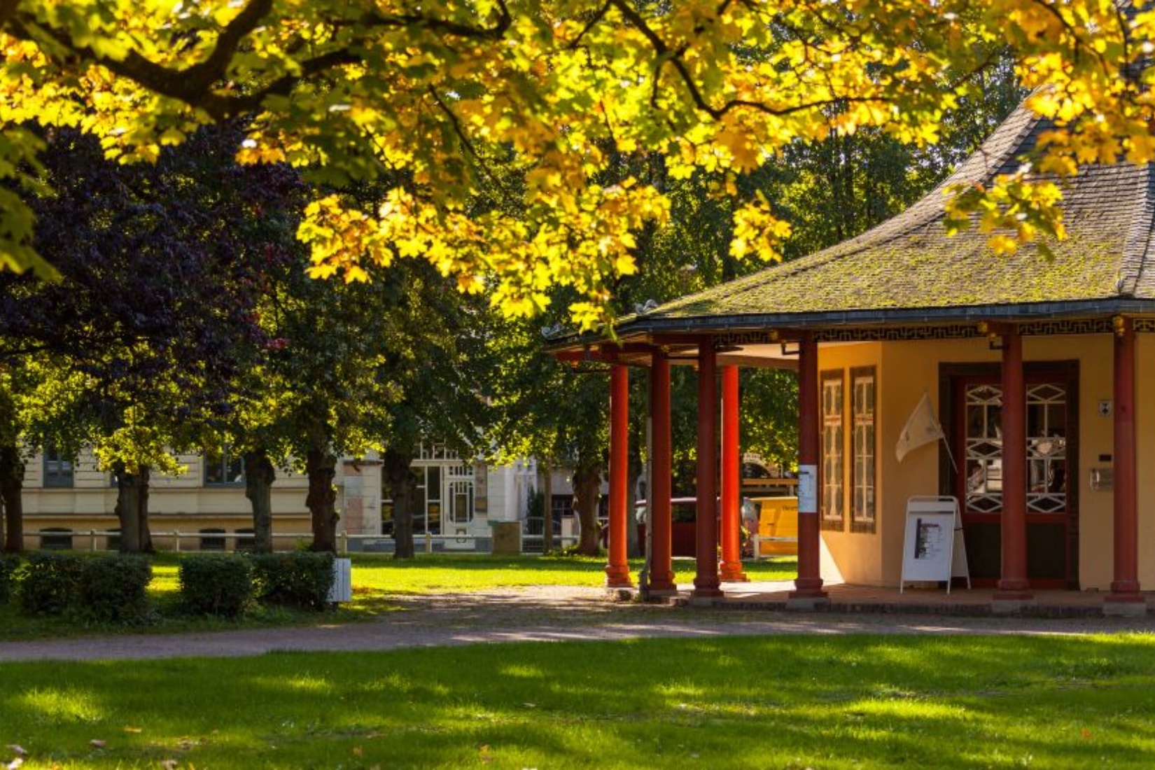 Doberaner Kamp im Herbst © VMO, Alexander Rudolph