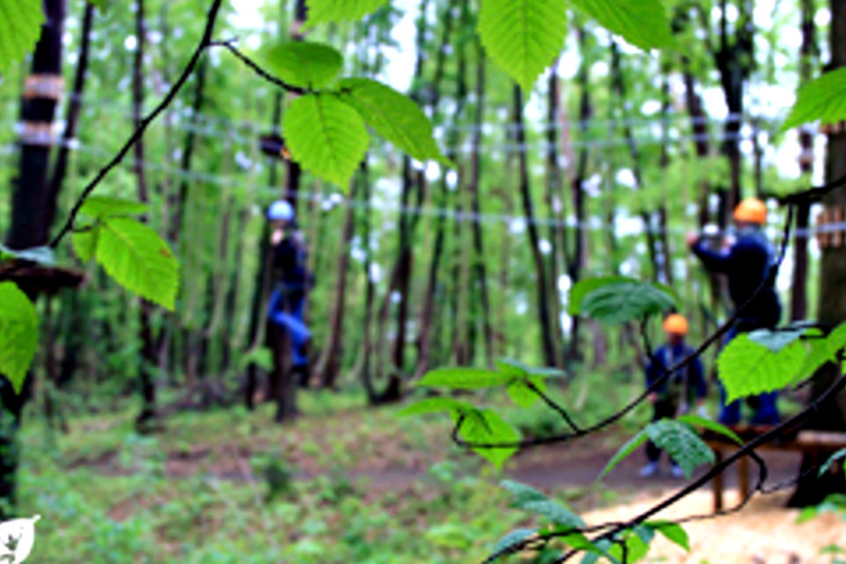  Schweriner Kletterwald