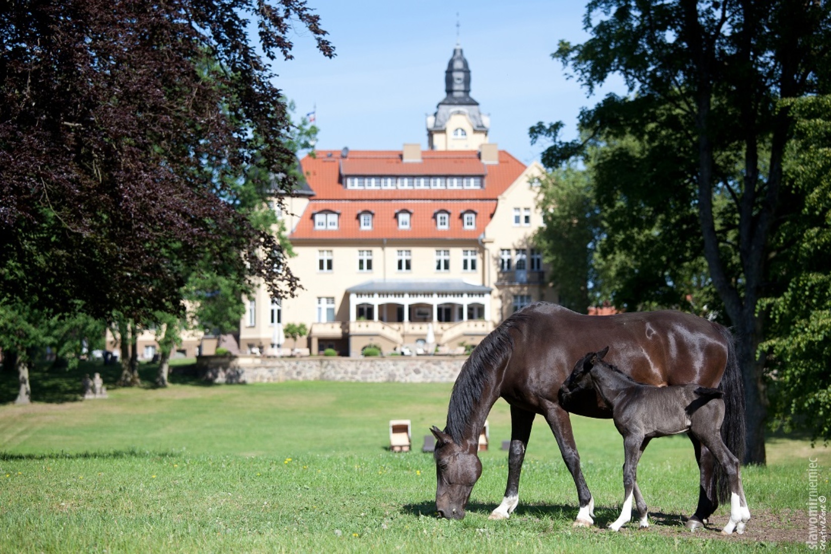 Bernsteinschloss mit Pferden © Bernsteinreiter