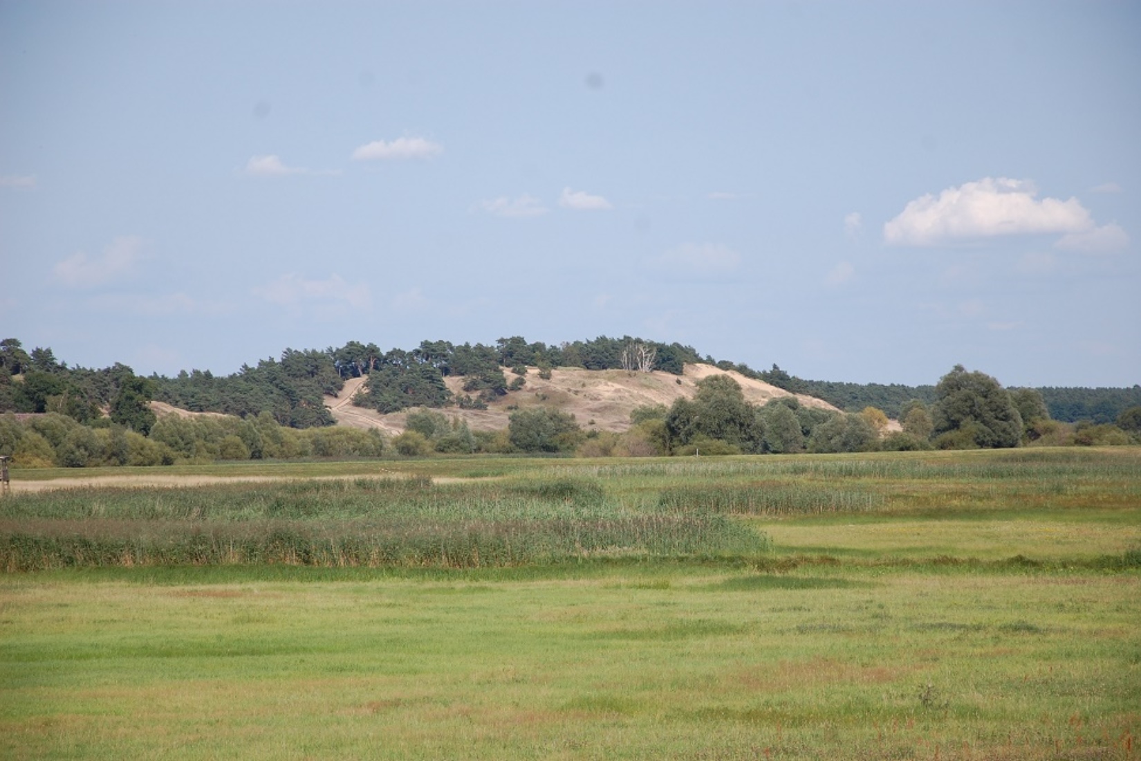 Binnendüne Klein Schmölen