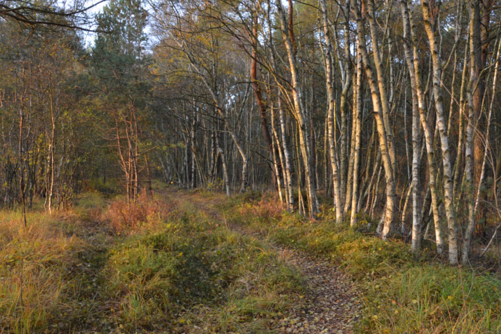  Tourismusverband Mecklenburg-Schwerin