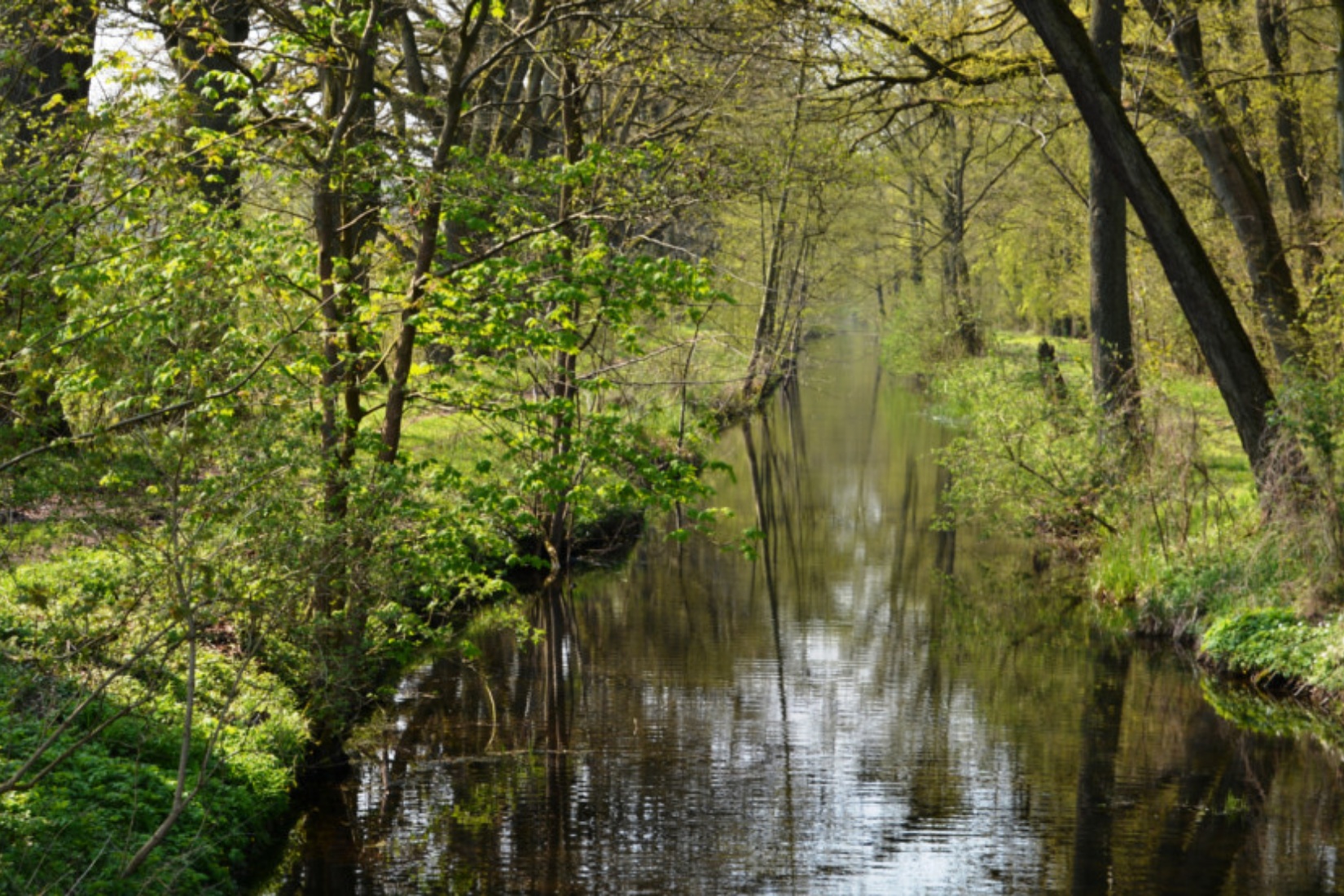  Foto: Tourismusverband Mecklenburg-Schwerin