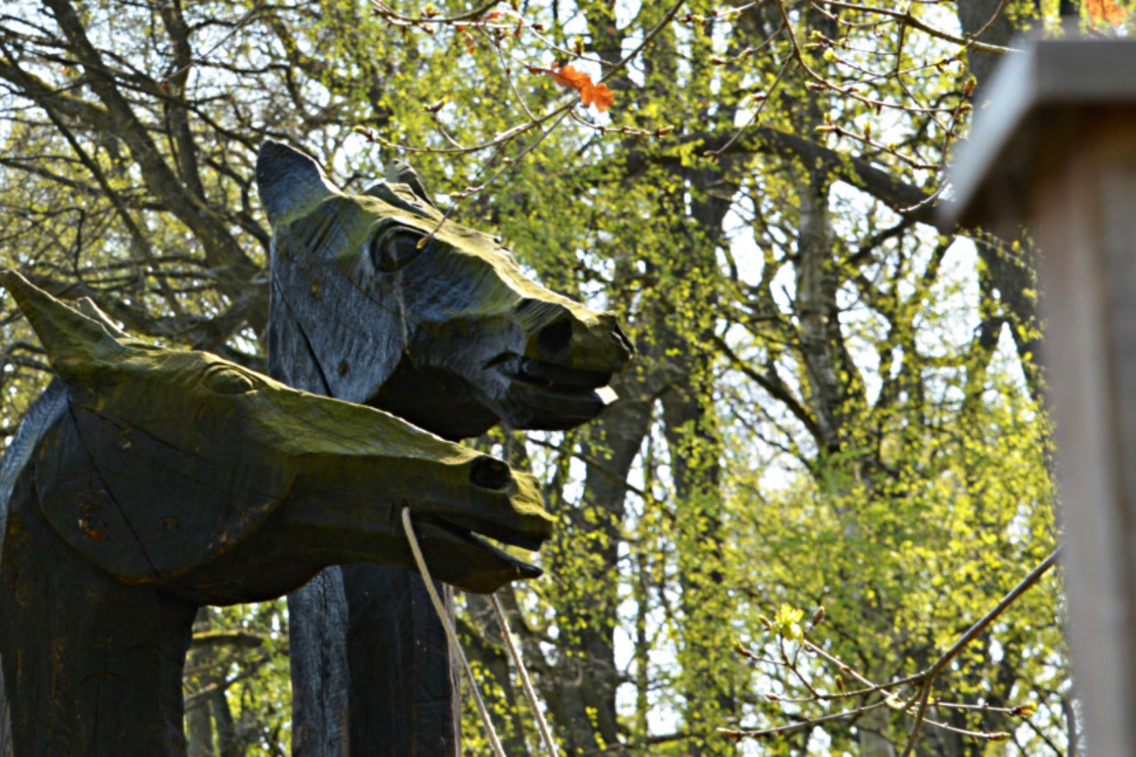  Foto: Tourismusverband Mecklenburg-Schwerin