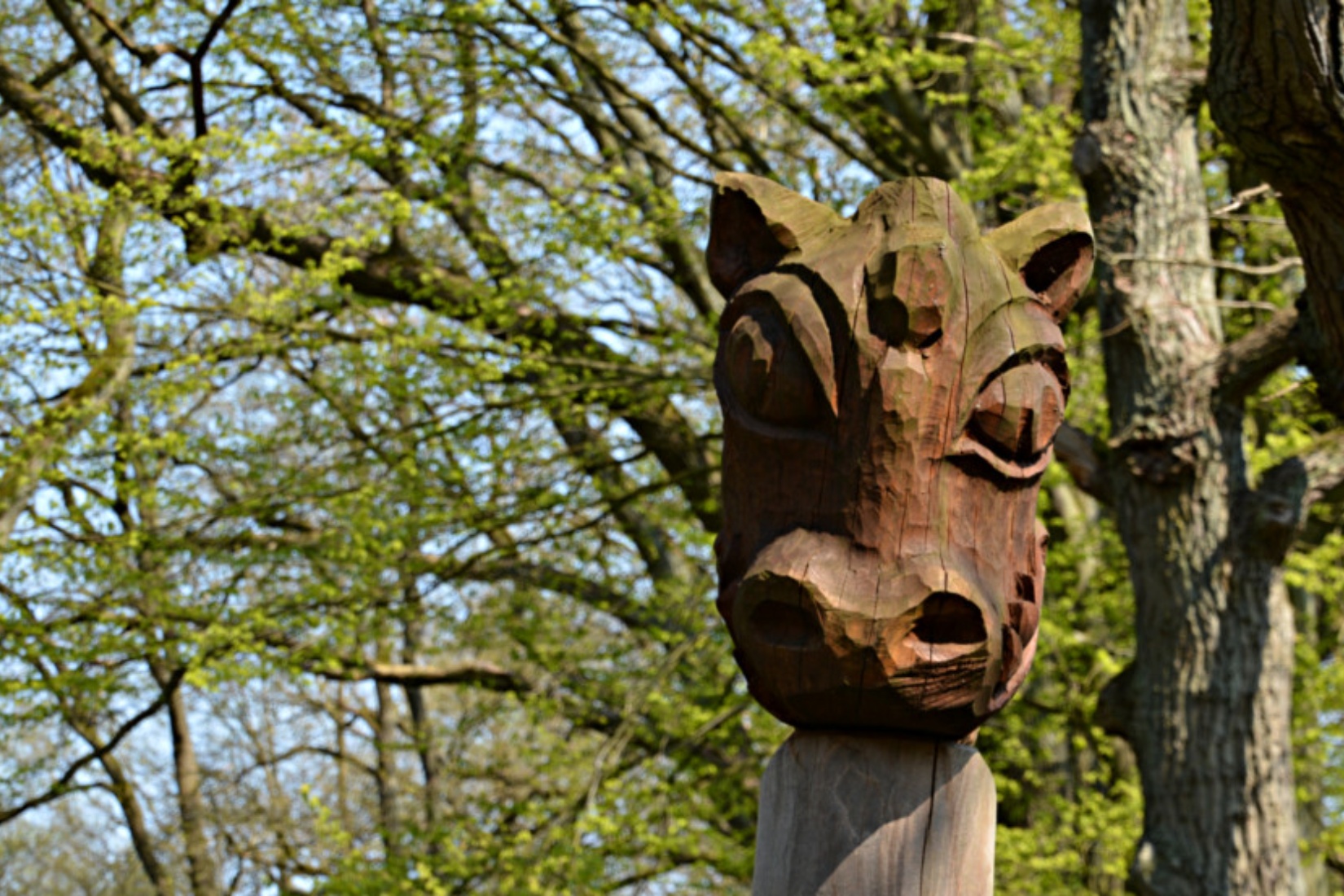  Foto: Tourismusverband Mecklenburg-Schwerin