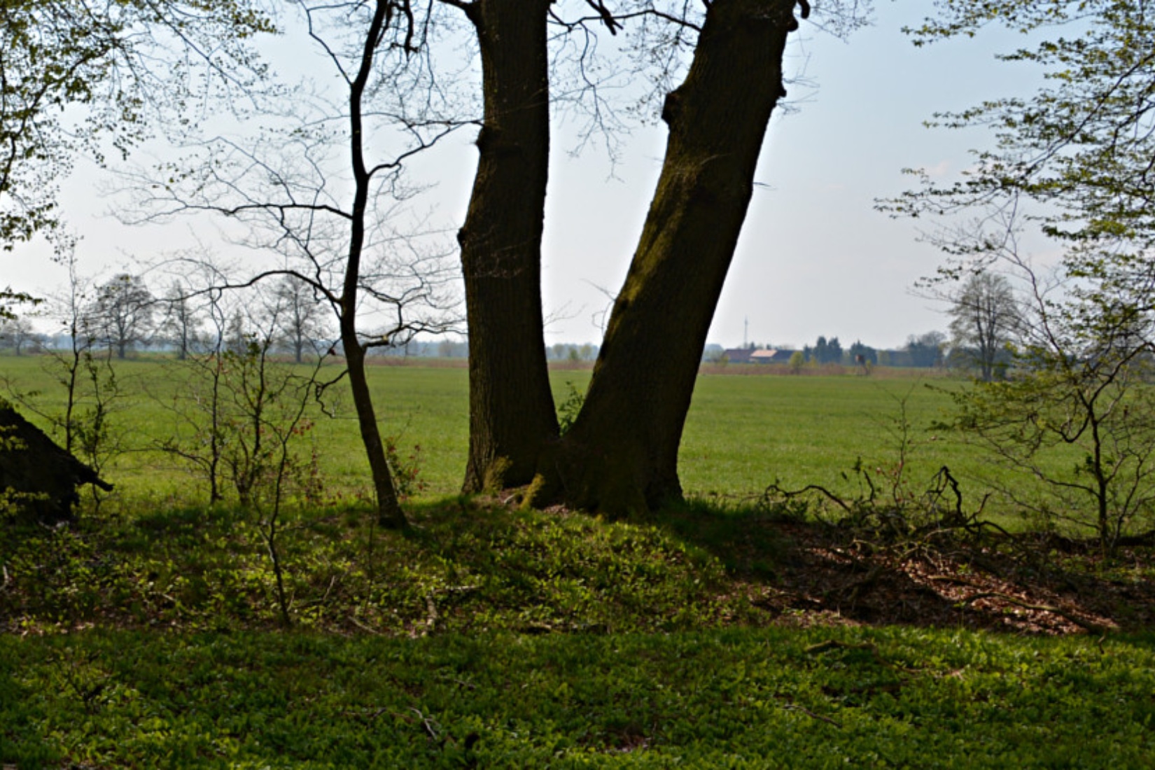  Foto: Tourismusverband Mecklenburg-Schwerin