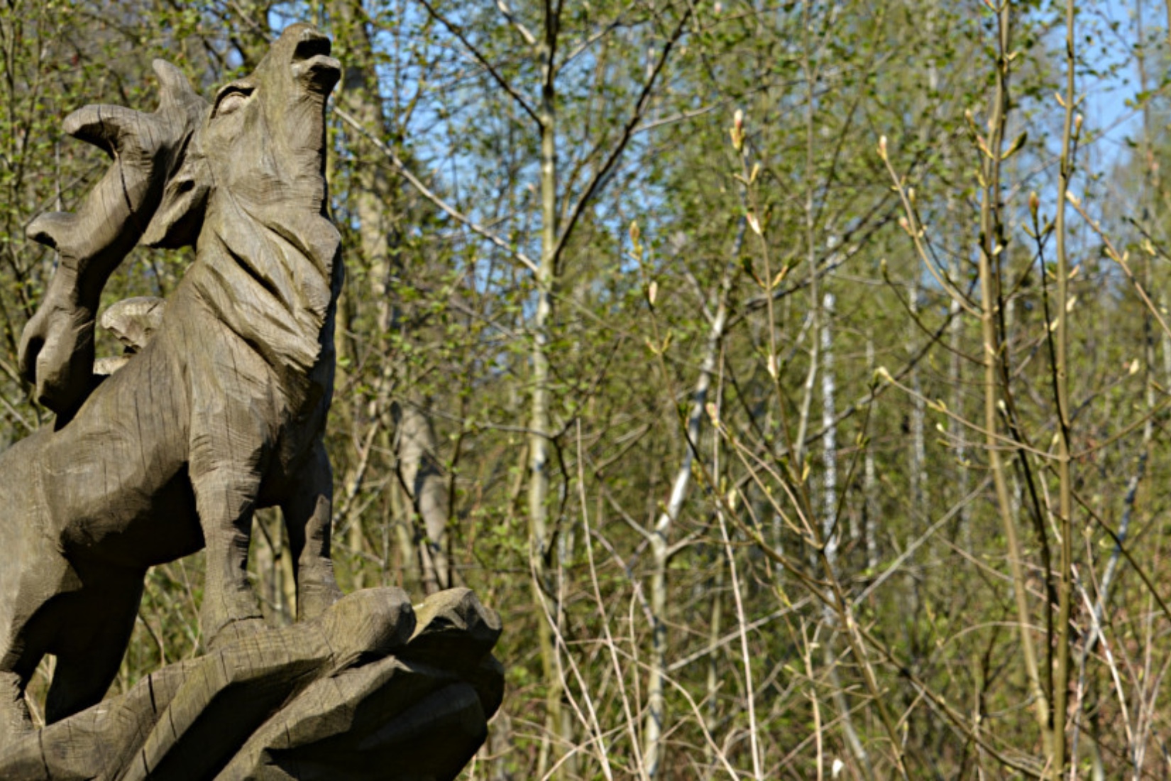  Foto: Tourismusverband Mecklenburg-Schwerin