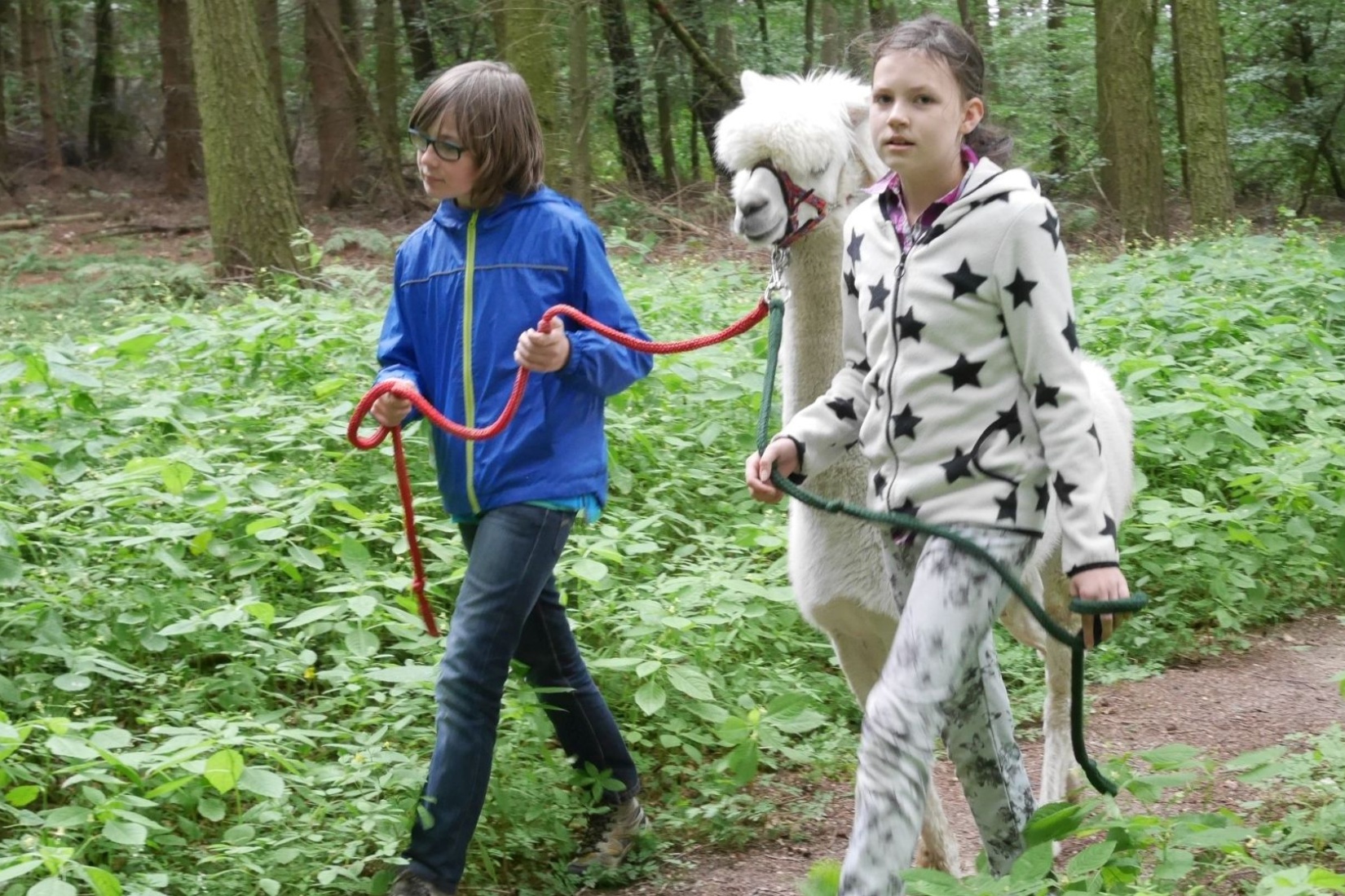Kinder erleben mit den Alpakas die Natur. © Lena Marie Hahn