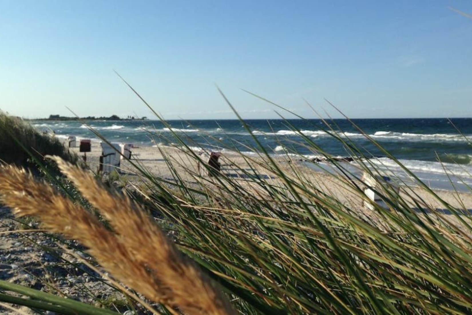 Entspannung in der Lübecker Bucht © Rudolf Ristov