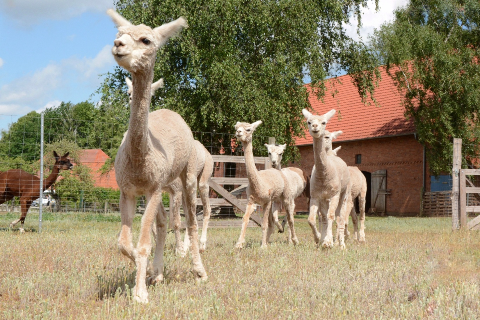  Tourismusverband Mecklenburg-Schwerin