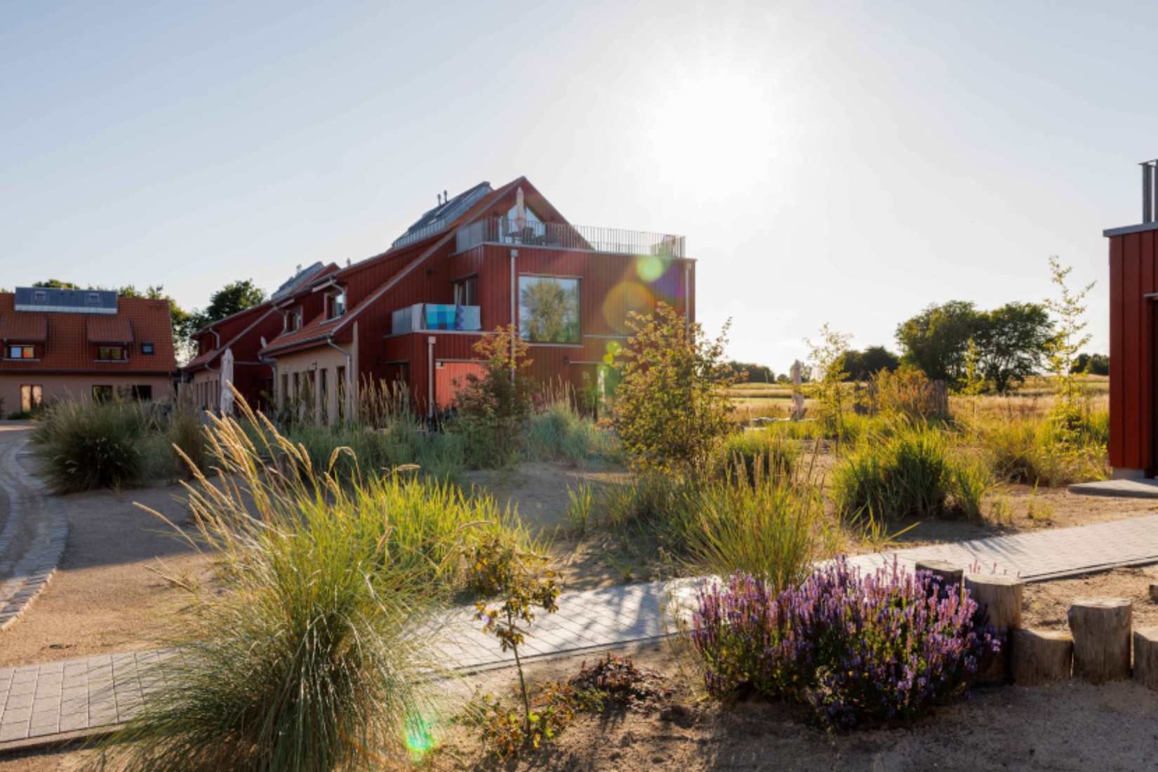 Ferienwohnungen eingebettet in eine Dünenlandschaft © Bades Huk Ferienresort