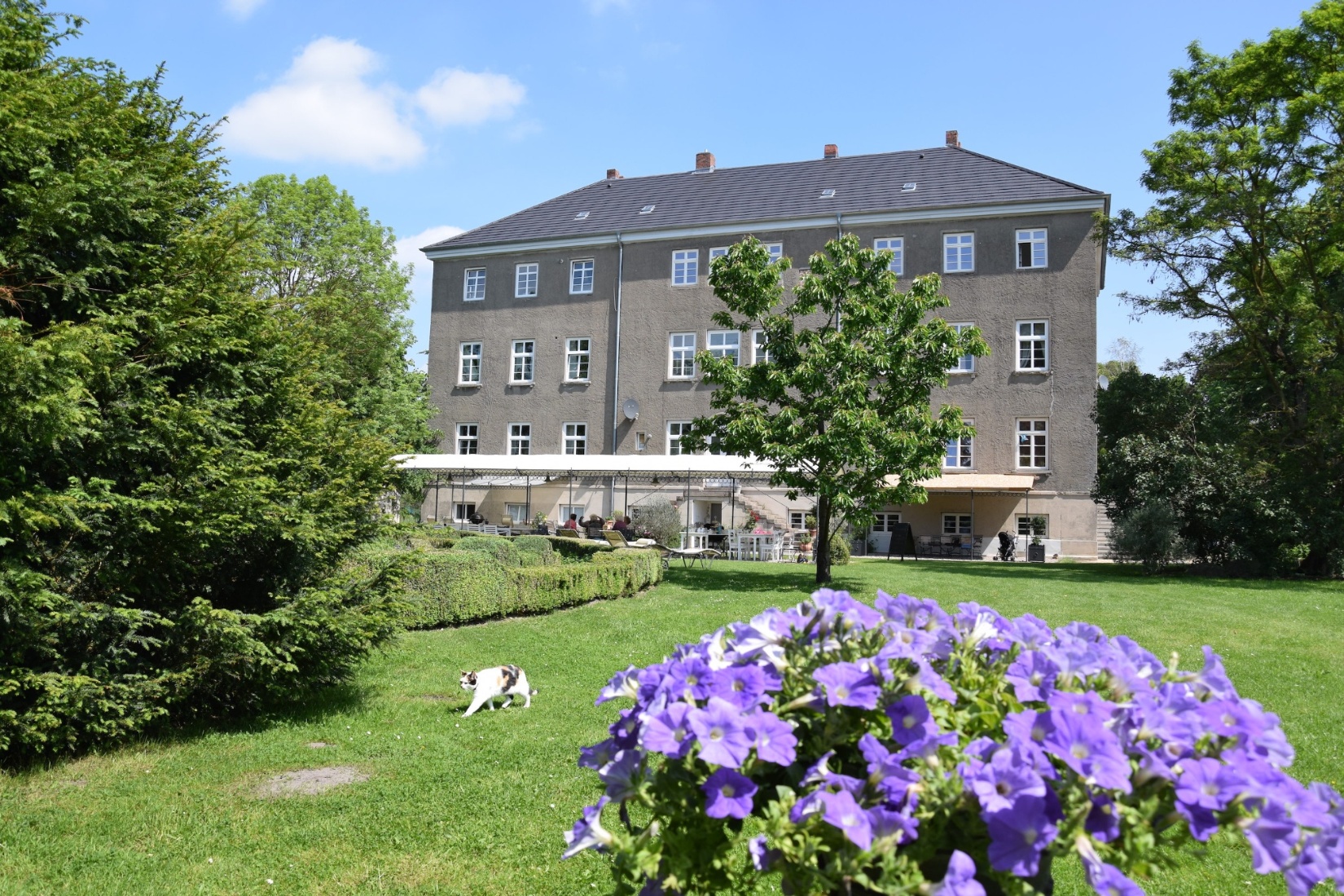 Unser kleines Café lädt bei leckerem Kuchen zum Verweilen in romanischen Gutshauspark des Gutshaus Volzrade ein. Elisabeth Neufeld-Picciani