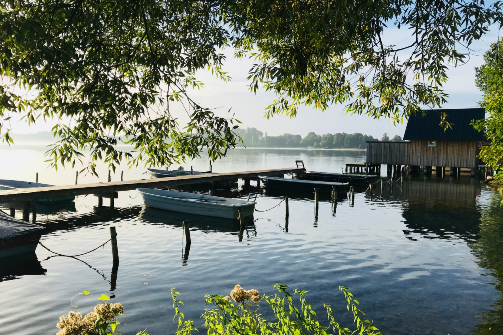 Die unberührte Natur rund um den Schaalsee lädt mit idyllischen Uferlandschaften und ruhiger Atmosphäre zum Entspannen und Entdecken ein. Seehotel Zarrentin