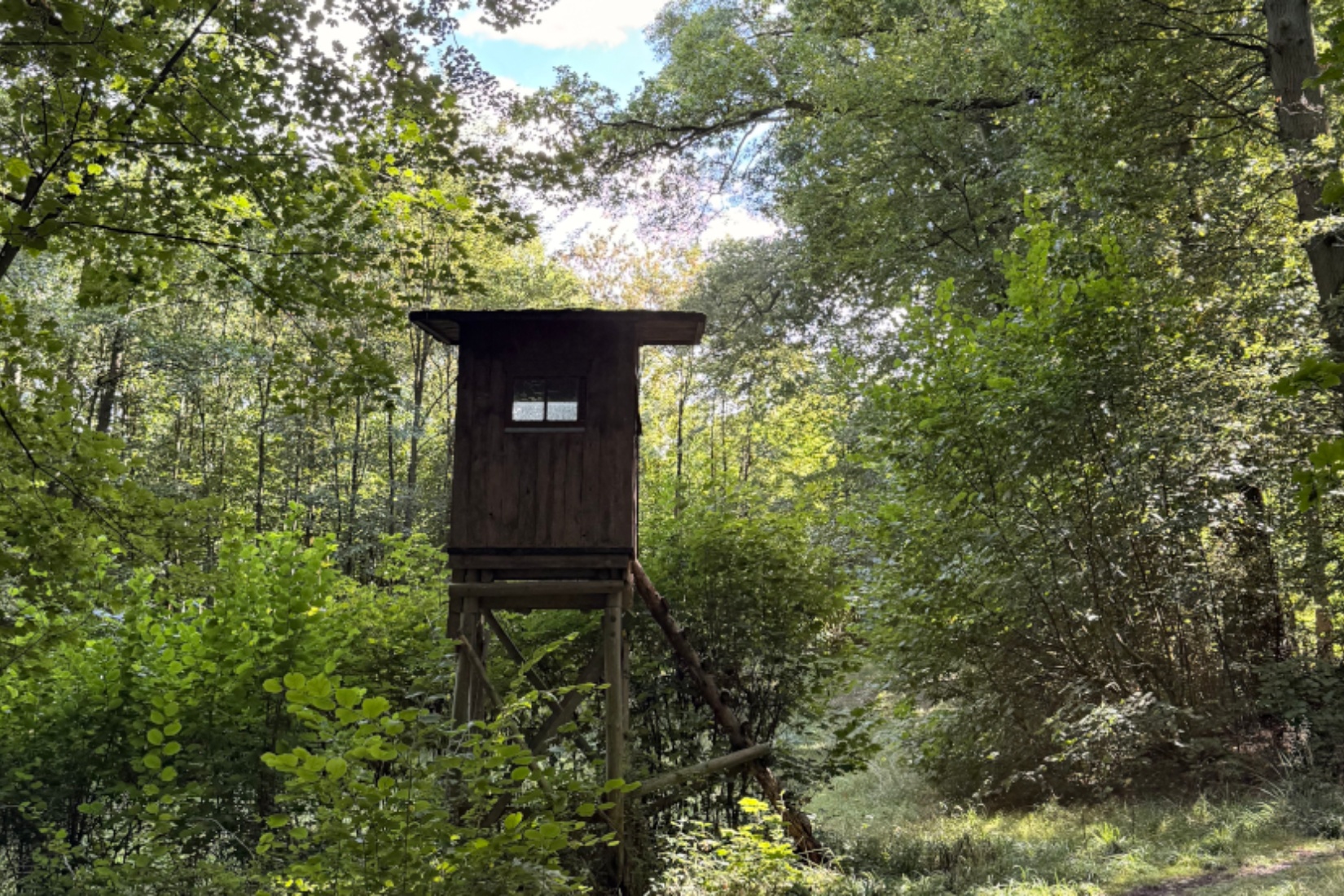 Hochstand &copy; Anastasia Wigger