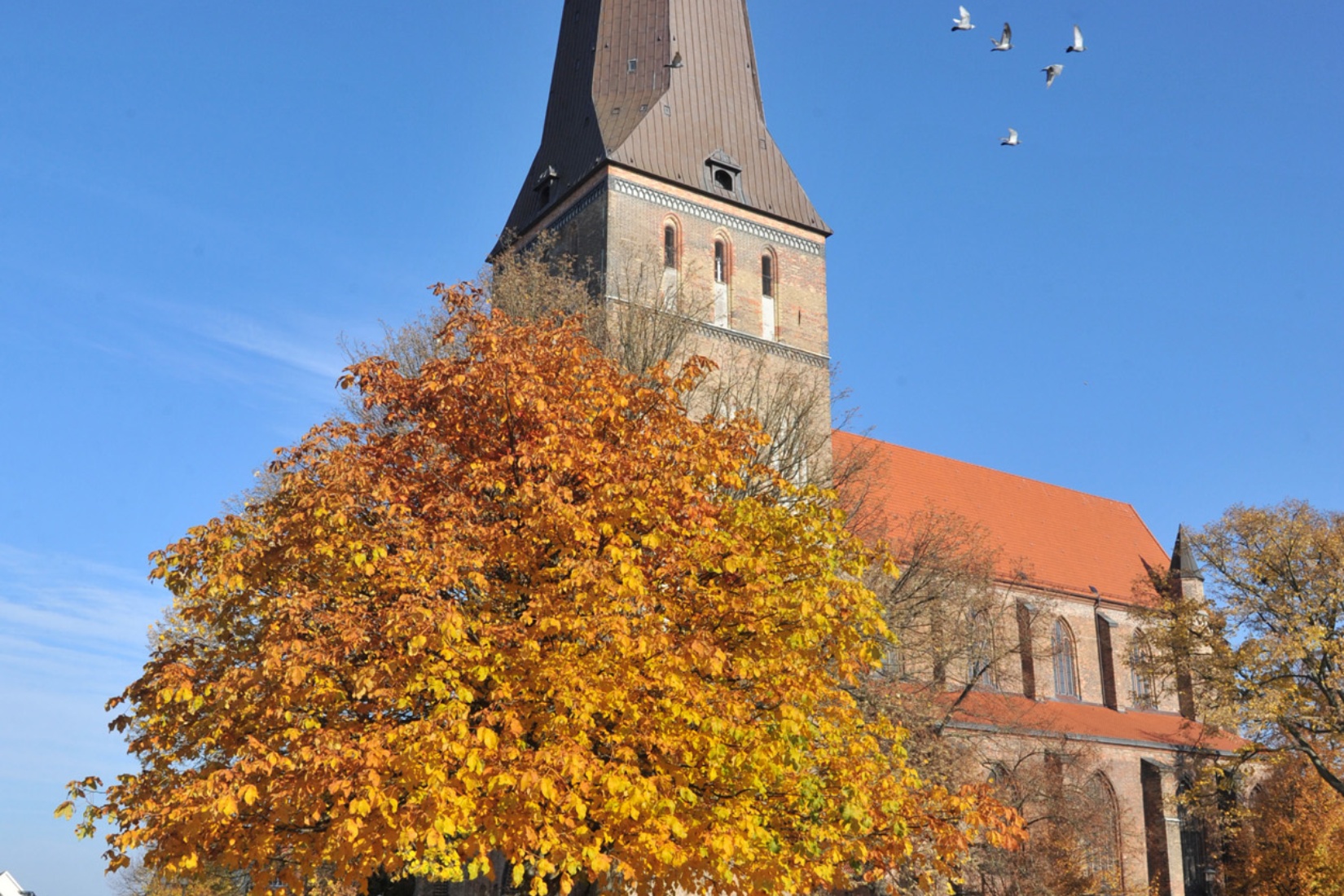 Petrikirche Rostock © TZRW/Joachim Kloock