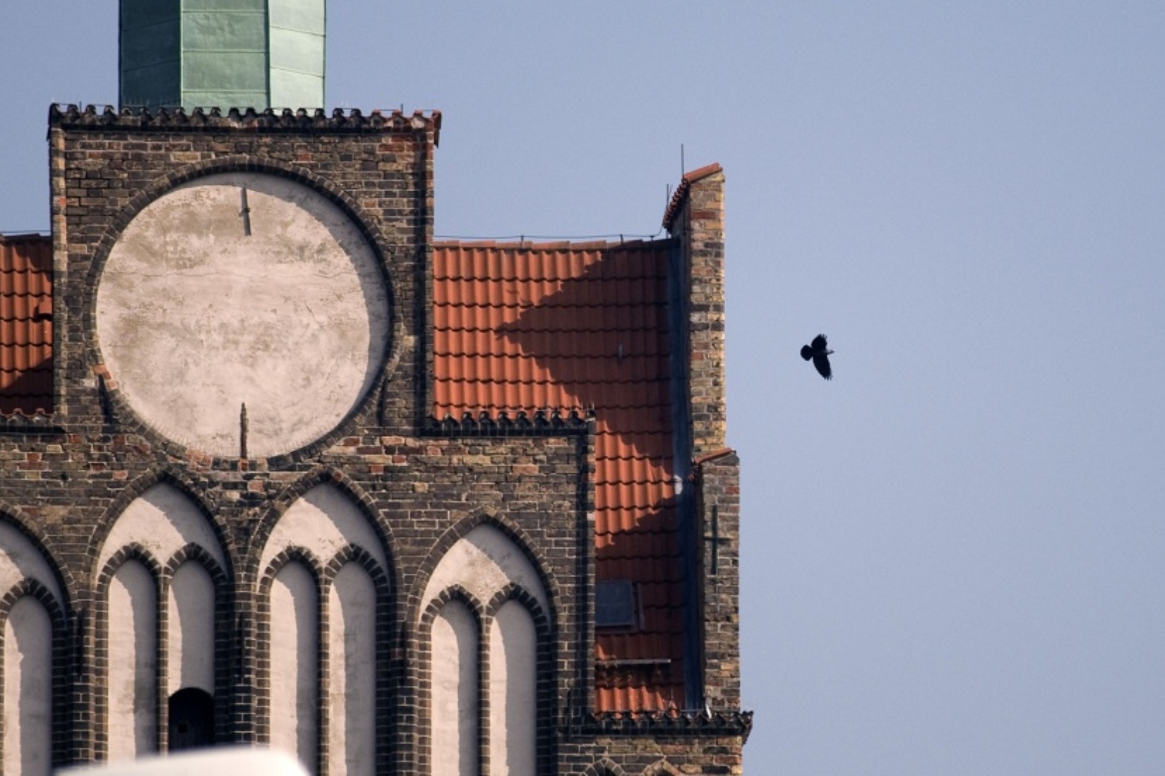 Torvogel © Andreas Günther, Geschichtswerkstatt Rostock