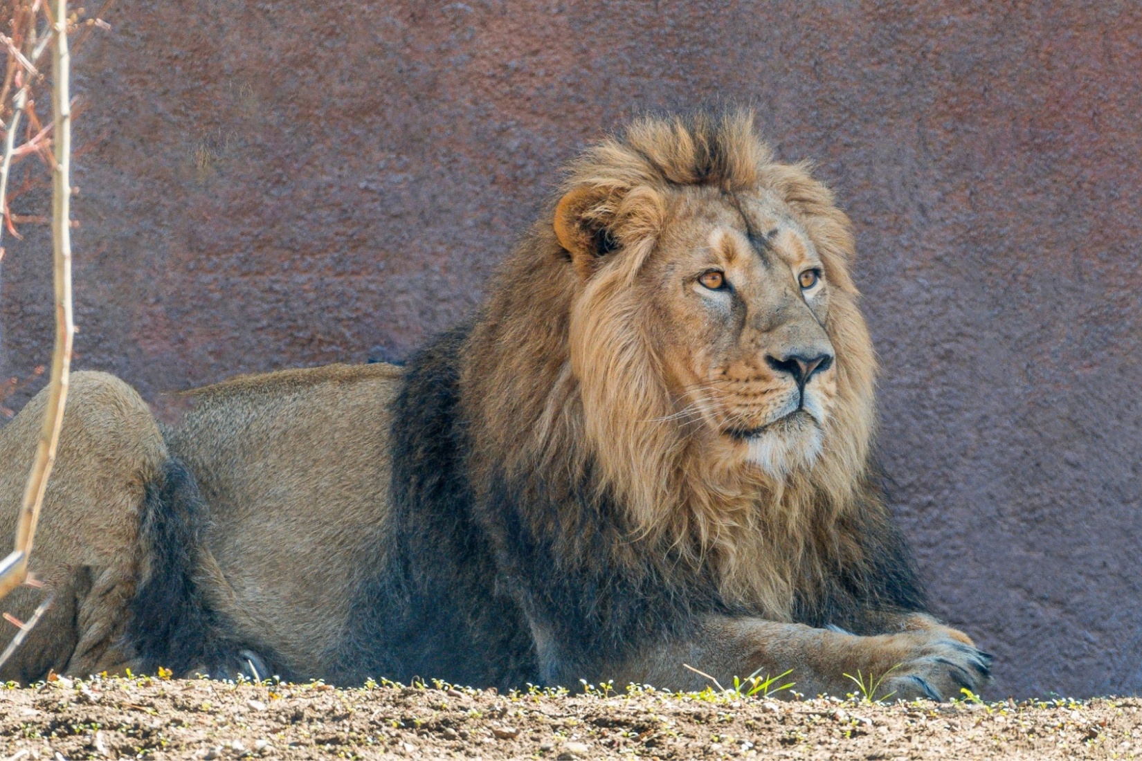 keine Bildunterschrift Zoo Schwerin