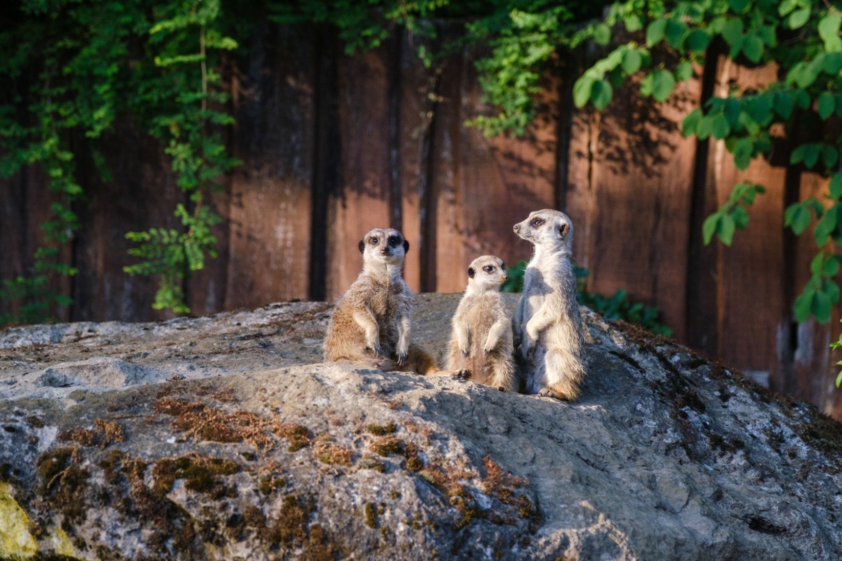 keine Bildunterschrift Zoo Schwerin