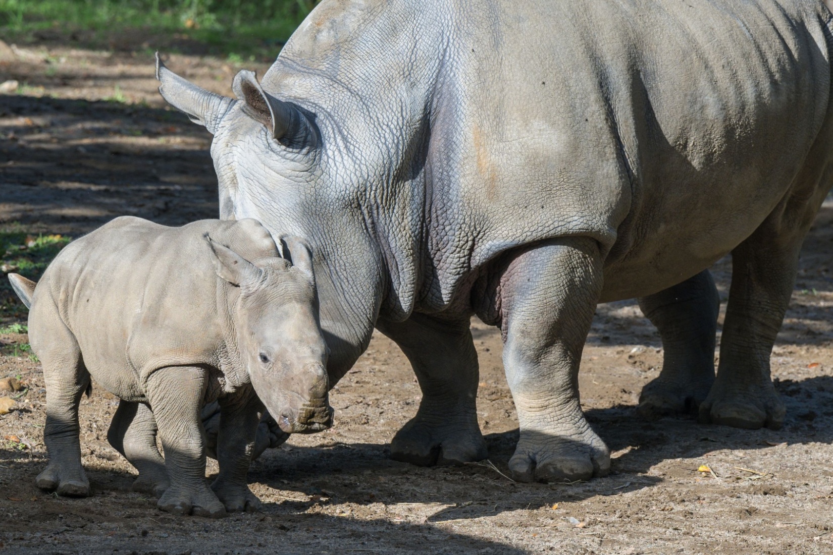 keine Bildunterschrift Zoo Schwerin