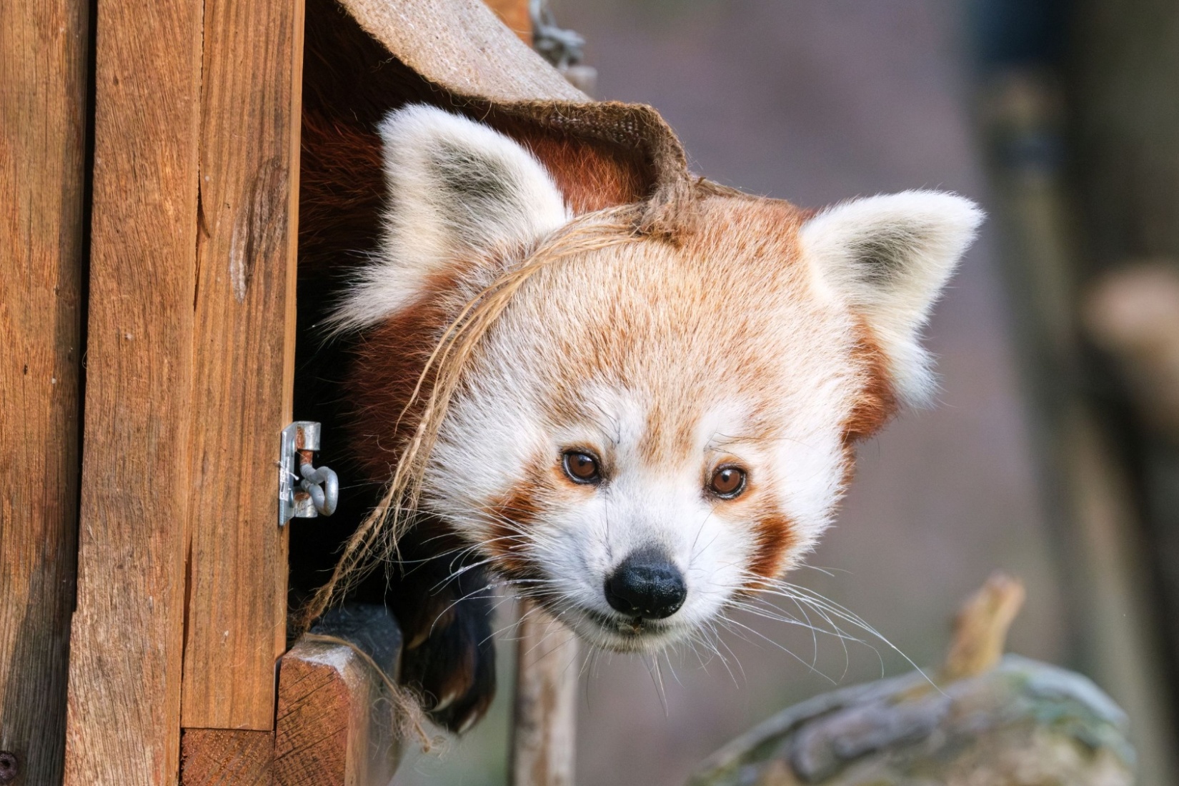 Zoologischer Garten Schwerin