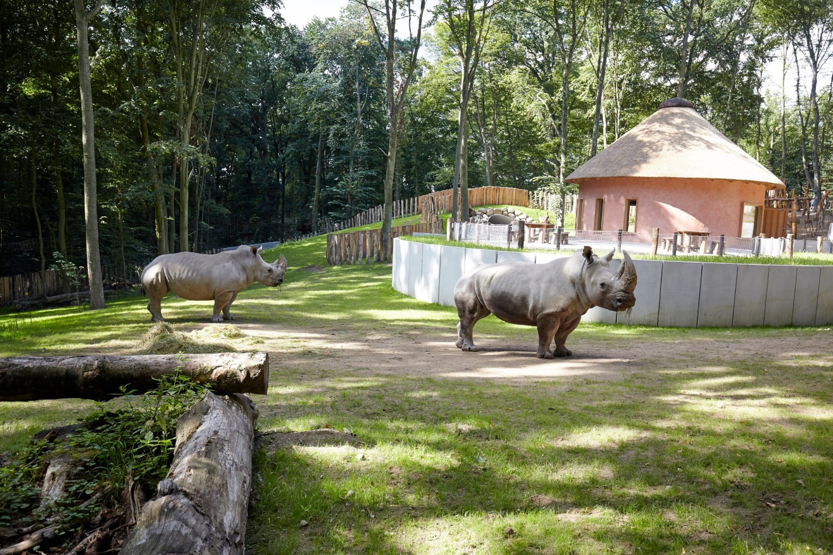 Zoologischer Garten Schwerin