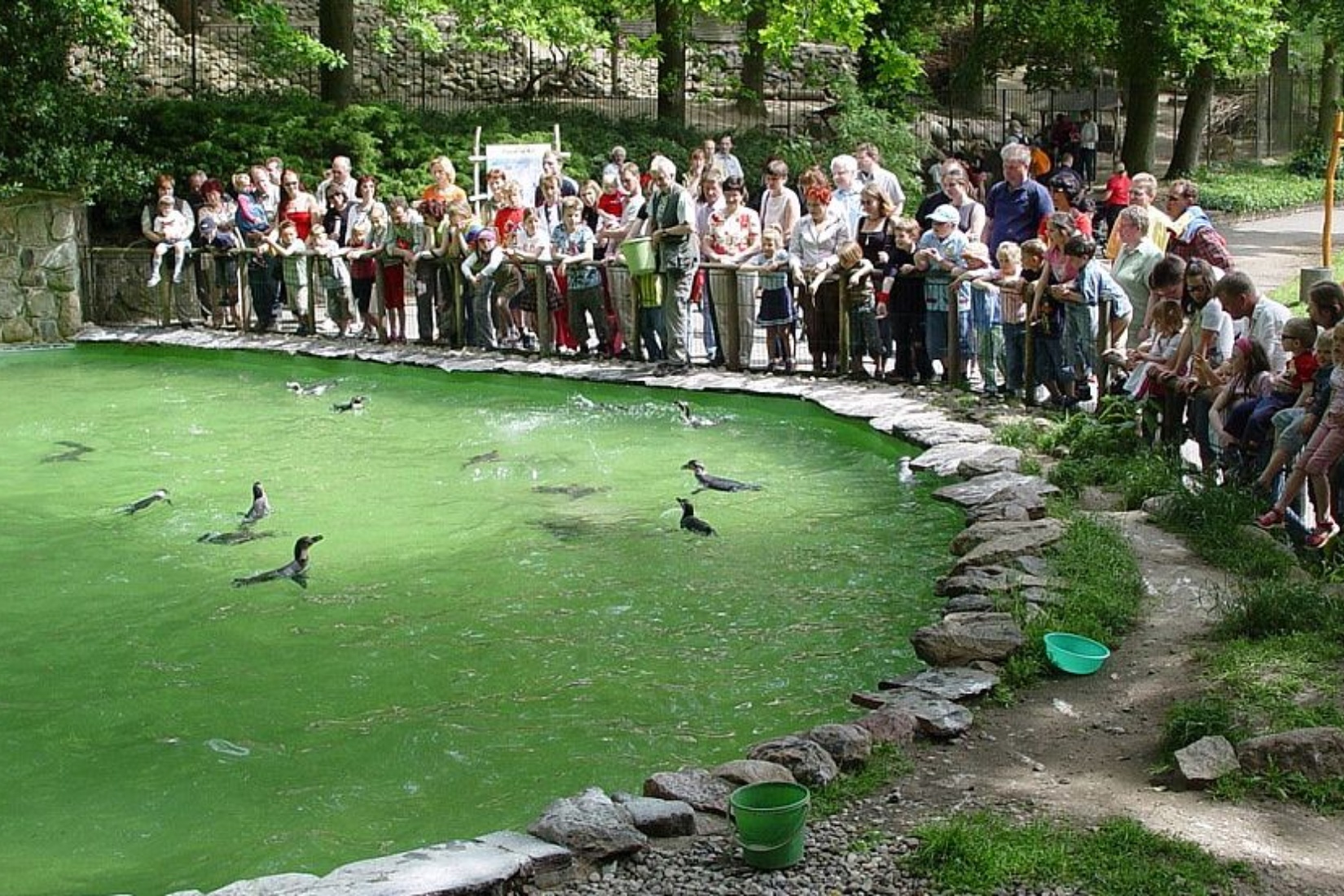 Tiere ganz nah erleben Zoo Schwerin/Erika Hellmich