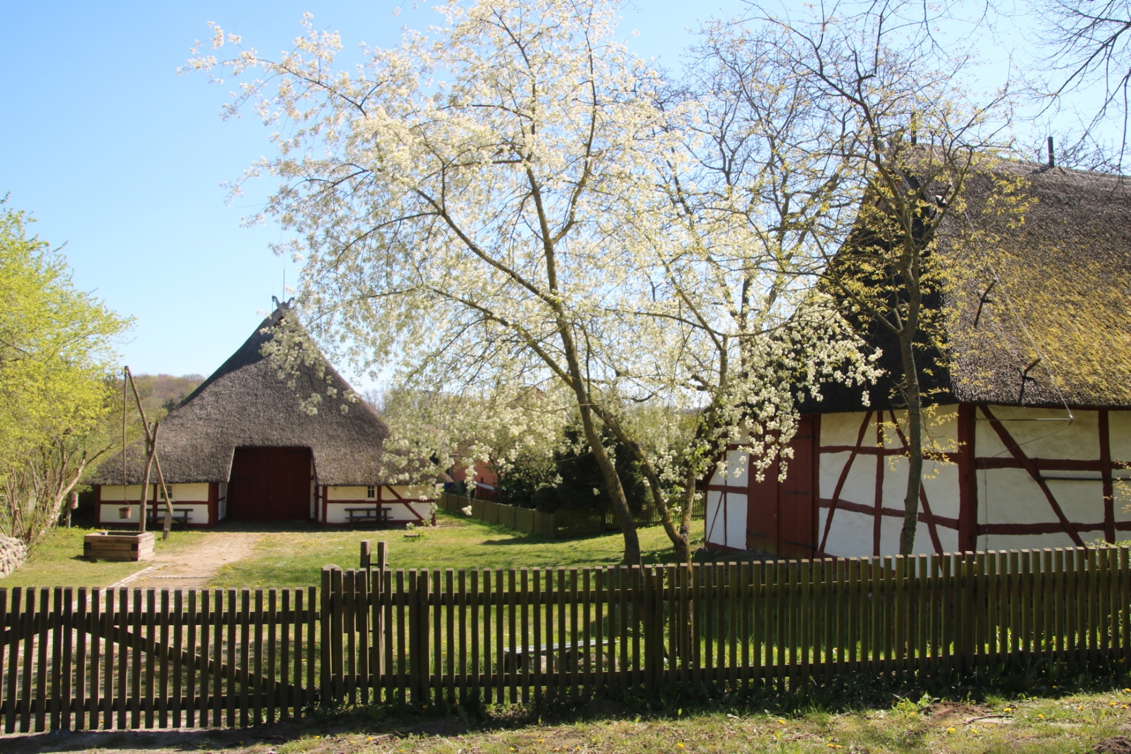 keine Bildunterschrift Fred-Ingo Pahl