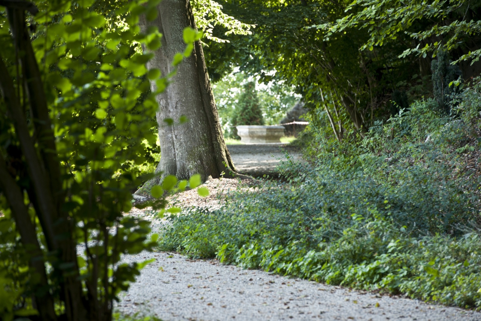 Park an der Steilküste_Foto Jörn Lehmann © SSGK M-V © SSGK MV / Jörn Lehmann