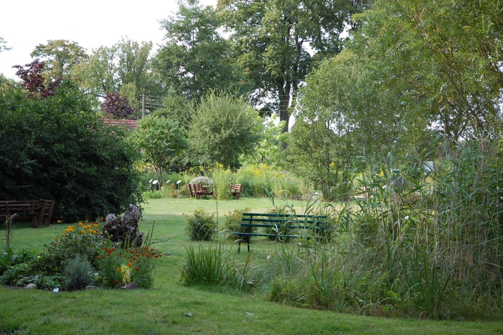 Der Schaugarten zeigt etwa 150 Bienenweidepflanzen. Gabriele Skorupski