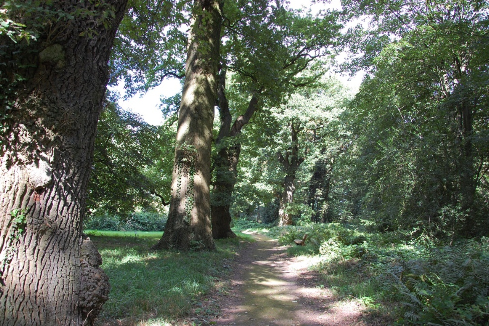 Landschaftspark Dammereez