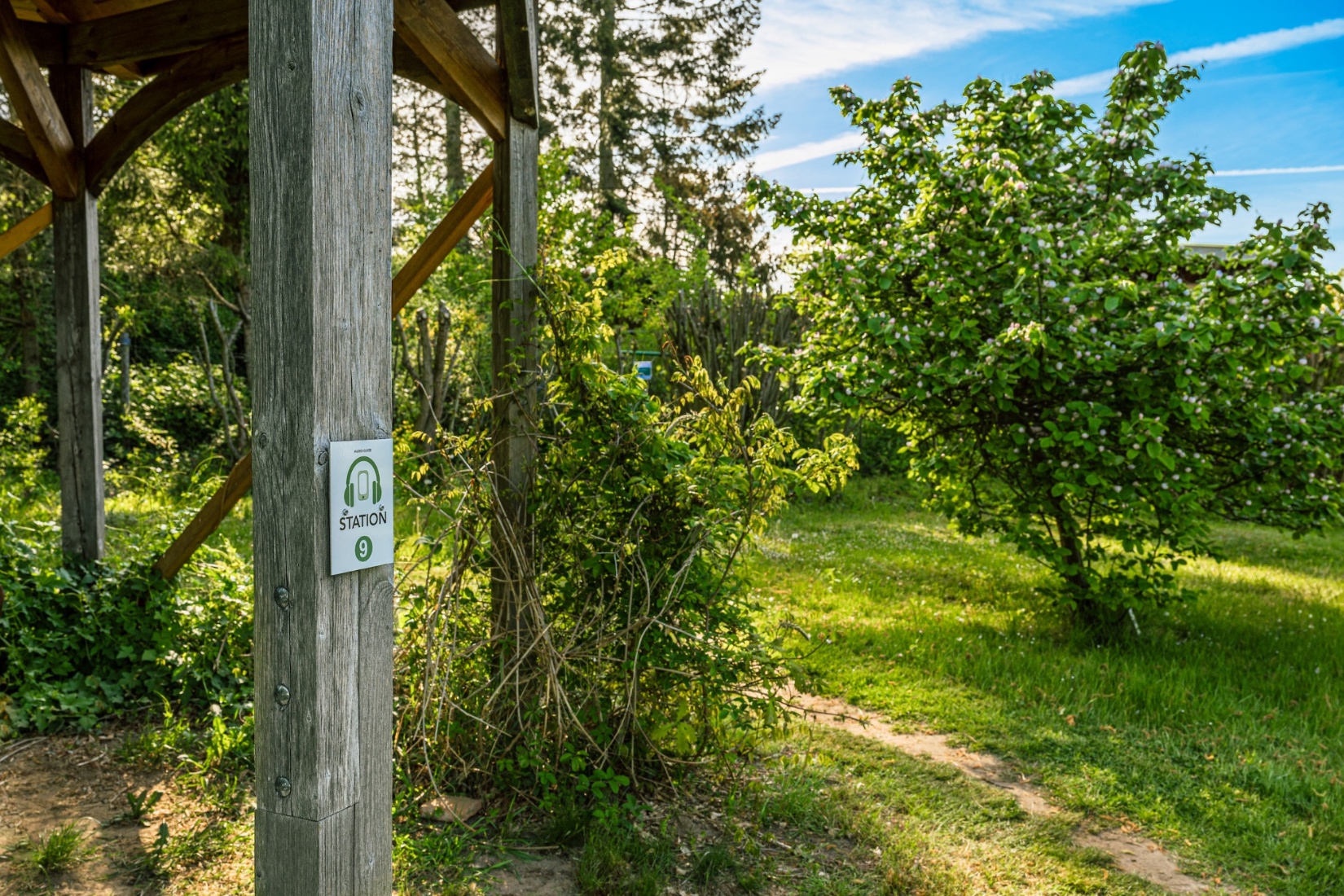 Spiellandschaft im Wangeliner Garten TMV/Tiemann