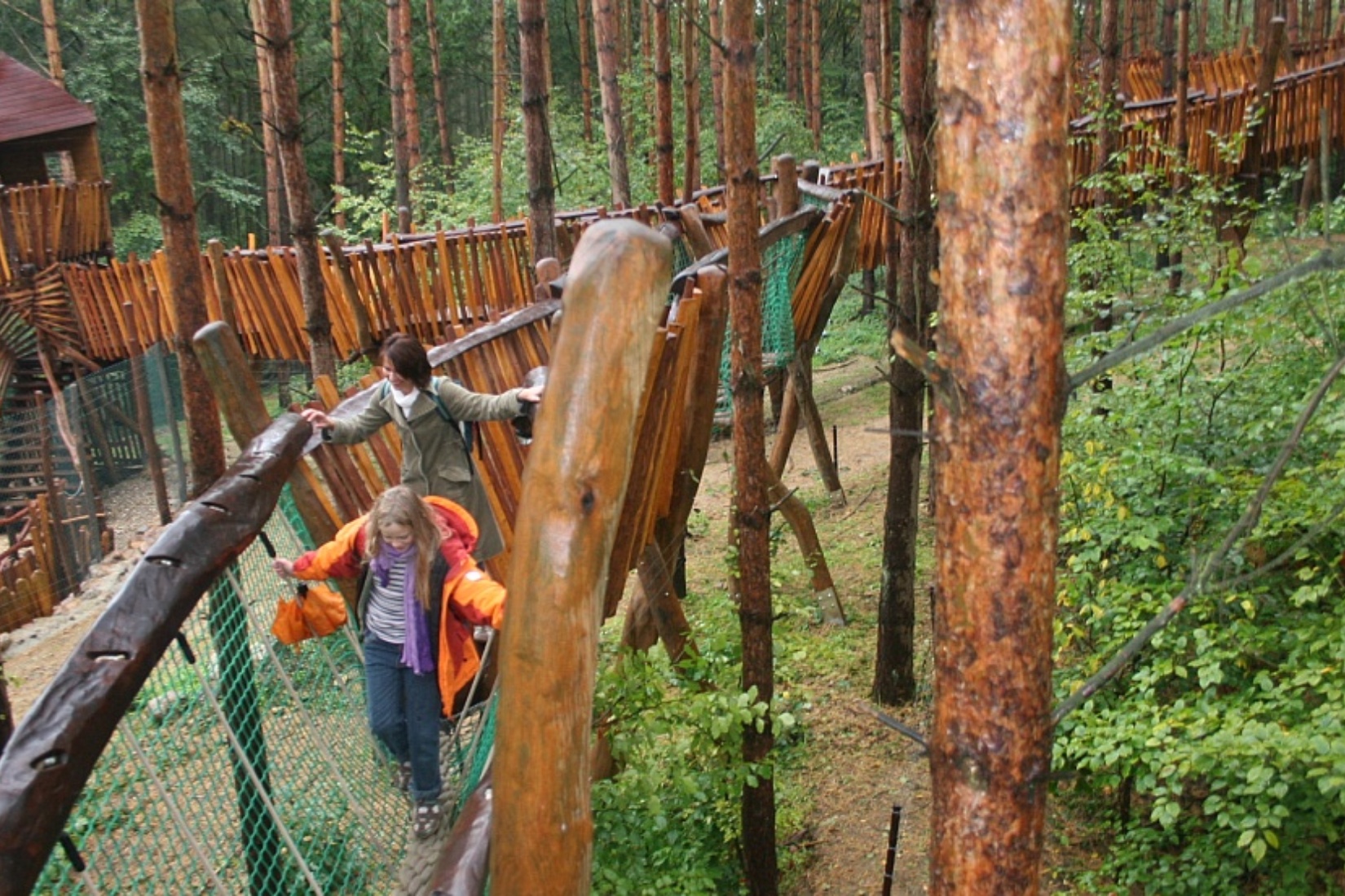 Auf abenteuerlichen Kletterpfaden geht es durch die Raubtier-WG Wildpark-MV