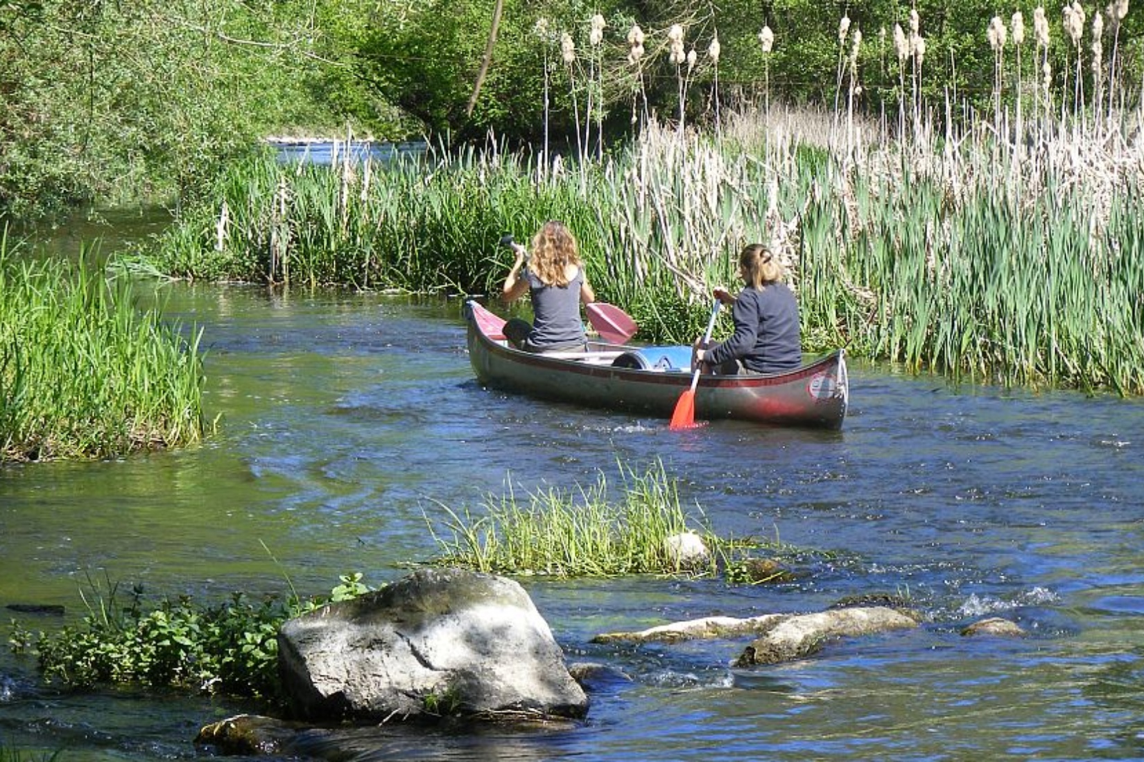 Die Warnow in Eickhof Naturdorf Eickhof/Brit Kulla