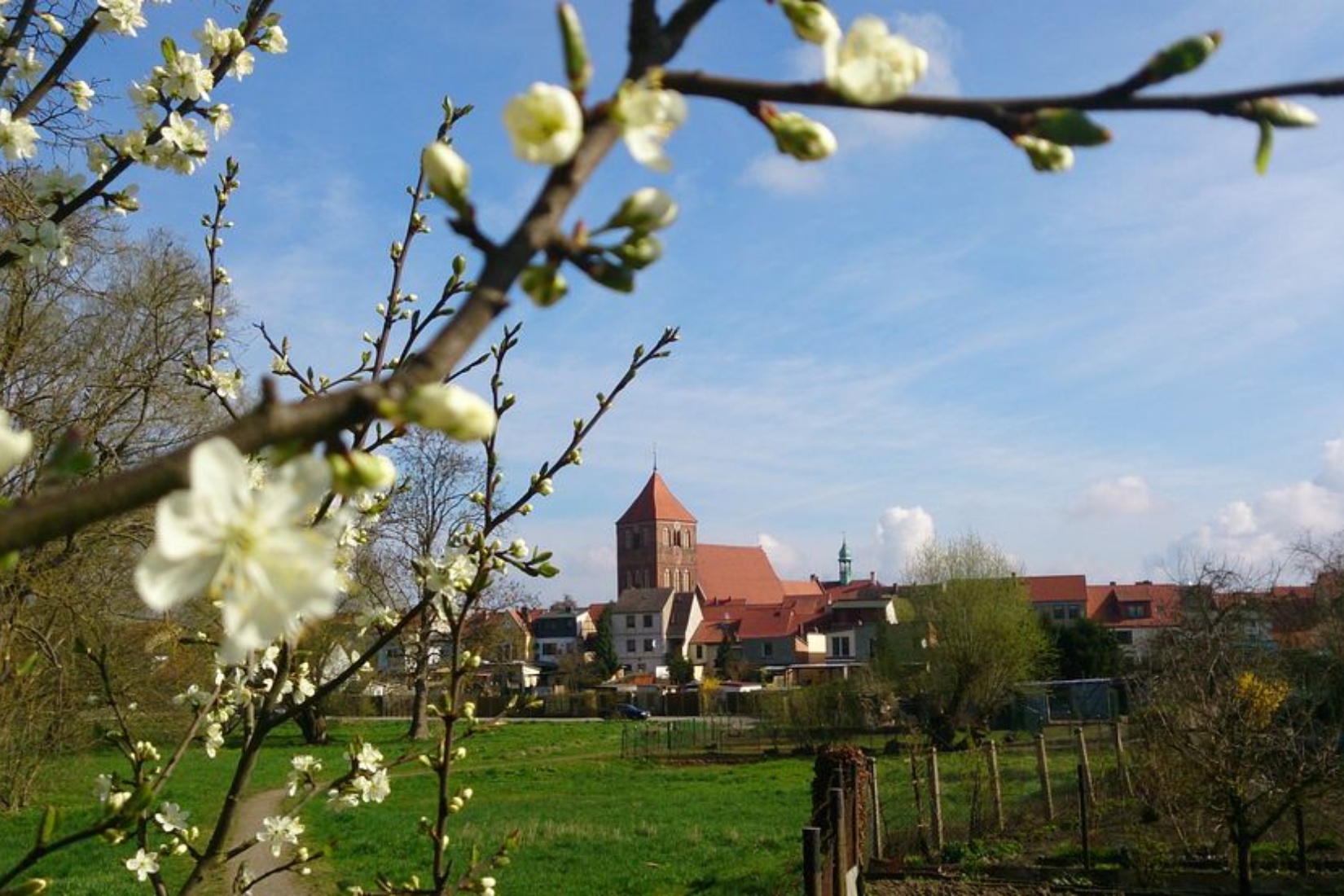 Blick auf die Stadtkirche St. Peter und Paul © Jana Koch