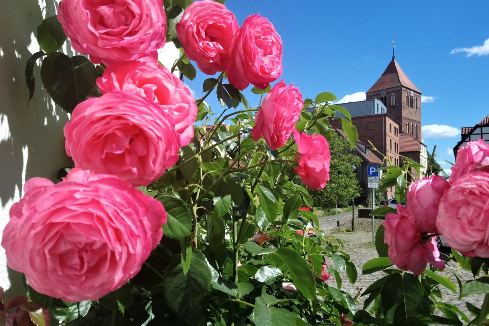 Stadtkirche vom Mühlenviertel aus © Jana Koch