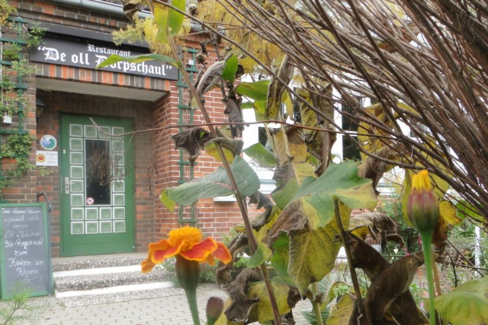 Bei einer kleinen Kräuter- oder Kochschule können Sie die vielfältige Schatztruhe der Natur selbst ausprobieren © De oll Dörpschaul/Alm-Linke
