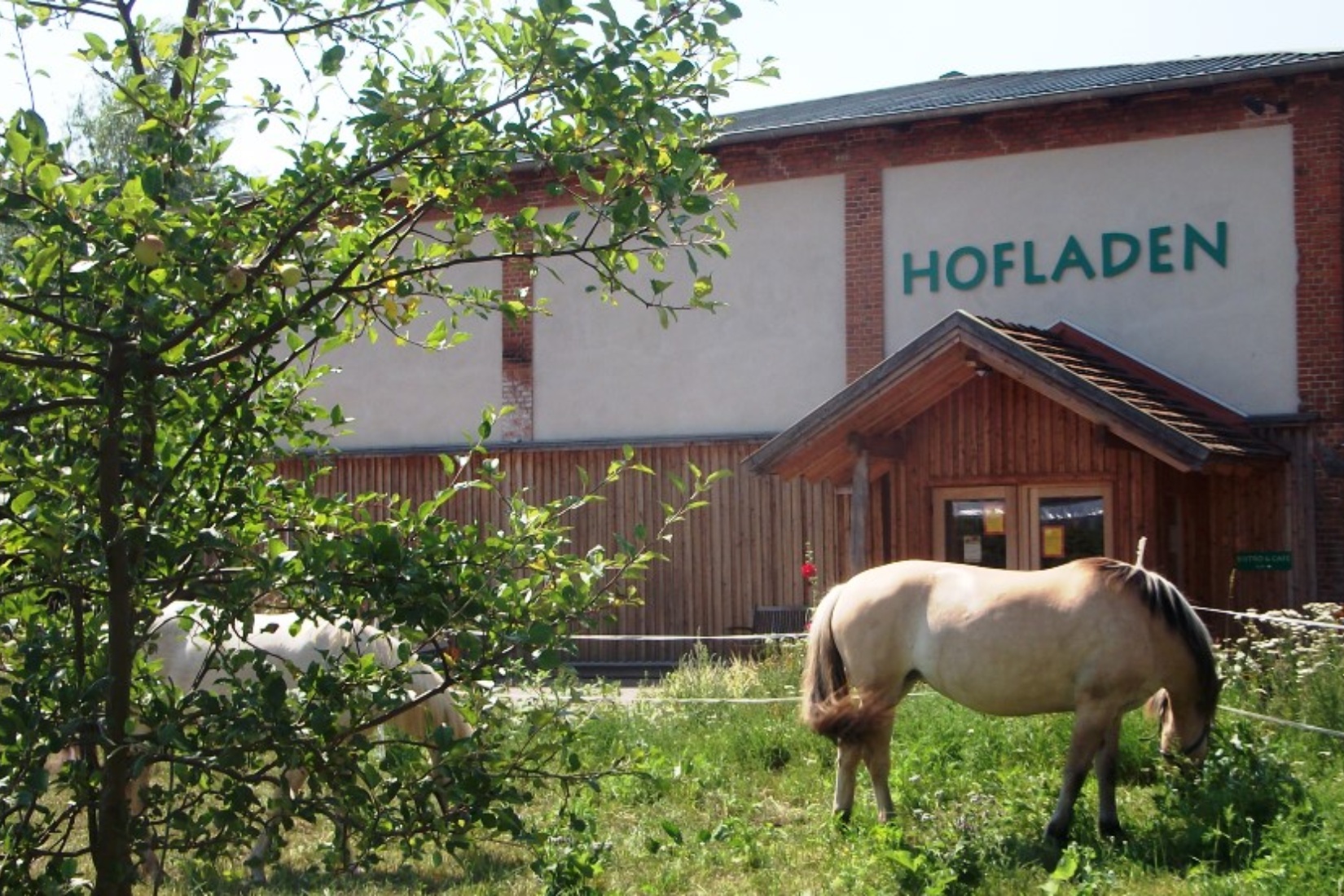 Blick auf den Hof Medewege mit Hofladen, Hofcafé und Bäckerei Hofladen Medewege/René Zeitz