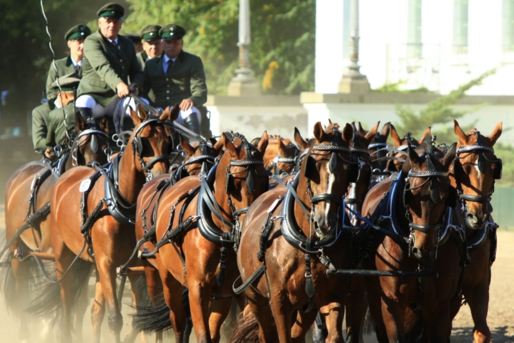  Archiv Landgestüt Redefin