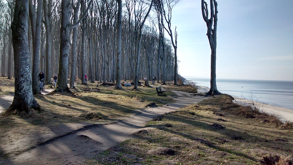 Gespensterwald Ostseebad Nienhagen