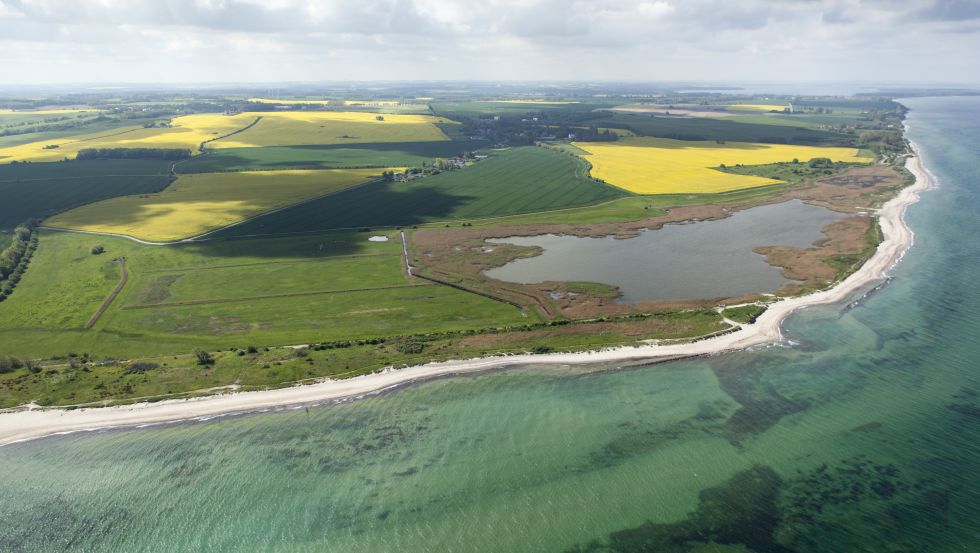 Naturschutzgebiet Riedensee