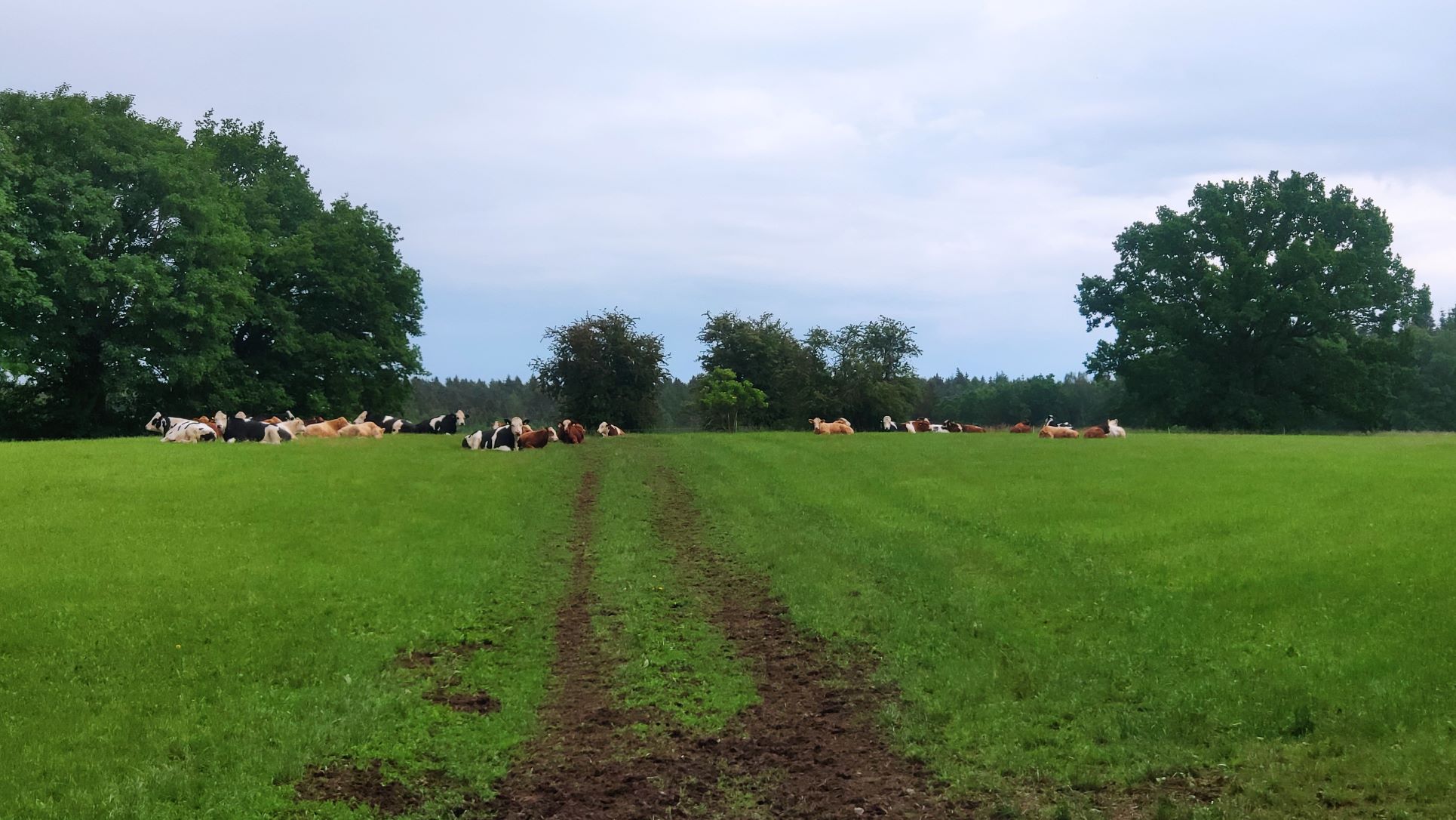 Biohof Tacke mit Hofladen